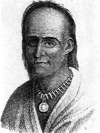 Lithograph of Little Turtle - Wikipedia